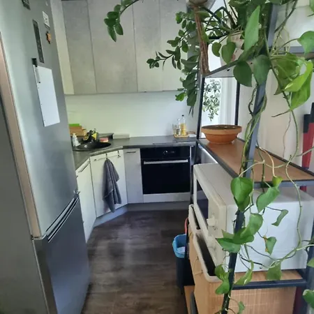 Sikupilli Pallasti Apartment