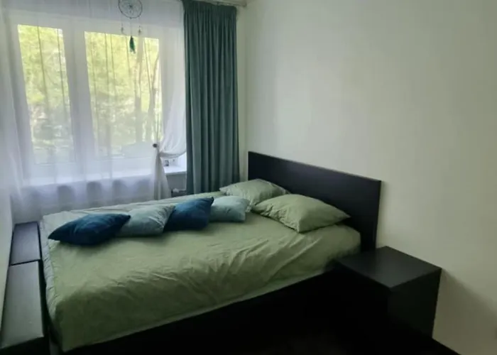 Sikupilli Pallasti *