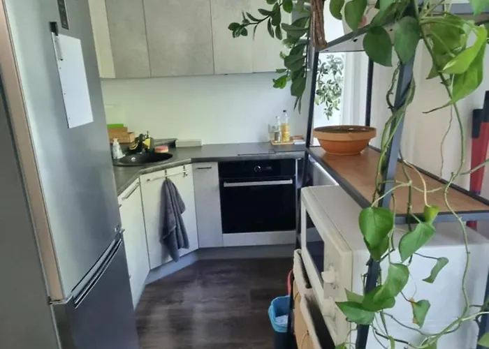 Sikupilli Pallasti Appartement